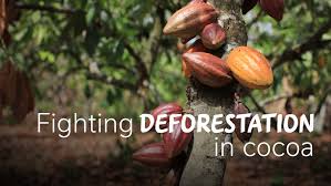 Nestle On Twitter How To Effectively Tackle Deforestation In Cocoa Supply Chains By Providing Solutions Cocoa Farming Communities Endorse Because They Benefit Them Darrell High Nestle Cocoa Plan Manager Discusses Shade Trees
