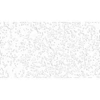 Download Rain Free Png Photo Images And Clipart Freepngimg Download transparent rain png for free on pngkey.com. download rain free png photo images and
