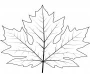 There are so many online printable coloring pages that you can have a blast offering them to your children. Big Leaf Maple Leaf Coloring Pages Printable