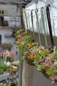Succulents In Soup Ladles Protractedgardenprotractedgarden Upcycle Garden Vintage Garden Decor Plants