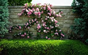 La palissade en bois composite ideal® est l'incontournable des clôtures de jardin haut de gamme. Cloture De Jardin Comment La Decorer