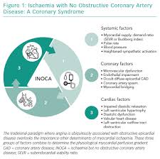 Ischaemia With No Obstructive Coronary Artery Disease A Coronary Syndrome Icr Journal