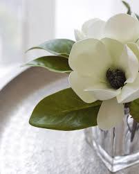 Check spelling or type a new query. Faux Magnolia Arrangement In Cube Vase Medablooms