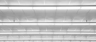 We did not find results for: How To Dispose Of Fluorescent Bulbs