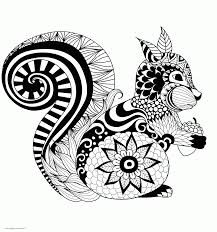 Page/sheet size 8 1/2 x 11 Squirrel Adult Animal Coloring Sheet Coloring Pages Printable Com