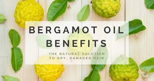 Bergamot essential oil is one such magical essential oil that has tons of health advantages with great cosmetic quotient. Bergamot Oil Benefits The Natural Solution To Dry Damaged Hair Simply Organic Beauty