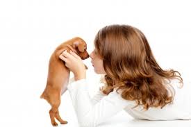 Golden retriever este un caine ideal pentru copii, intrucat este prietenos, loial si foarte destept. Cum Alegem Animalul De Companie Potrivit Pentru Copilul Nostru
