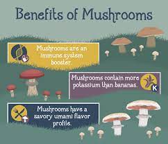 Growing Mushrooms At Home Fix Com
