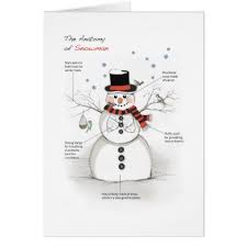 The Anatomy Of Snowman Holiday Card Zazzle Com Holiday Design Card Snowman Cards Cards