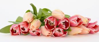 2021 edition of boise flower & garden show will be held at boise centre, boise starting on 19th march. Mother S Day Flowers In Boise Boist Floristjohnson Floral Decor