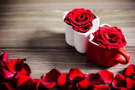 Namun dibalik manfaat itu, tersimpan sejuta rahasia yang mungkin jarang diketahui kebanyakan. Manfaat Bunga Mawar Untuk Kesehatan