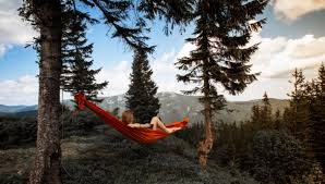 Working conditions, arrangement of working time, hours of work, paid leave, conventions, international labour standards. Annual Leave In Poland Labour Law Careers In Poland