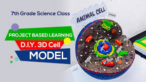 7th grade animal cell cake project. Niva 7th Grade Science Class D I Y 3d Cell Model Youtube