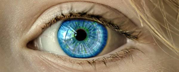 Mga resulta ng larawan para sa Blue iris eye"