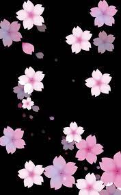 How do i make an image my desktop wallpaper? Aesthetic Background Black Cherry Flower Iphone Wallpaper Flower Phone Wallpaper Flower Background Wallpaper