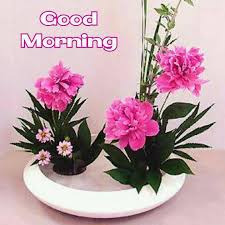 Ch01rider - Good morning beautiful pink flowers | Facebook