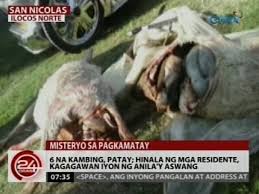 In aswang, a woman with very little means adopts a stray dog who transforms into a monster that however, the choices he made lead to a miserable and tragic picture. 6 Na Kambing Patay Hinala Ng Mga Residente Kagagawan Iyon Ng Anila Y Aswang Video Dailymotion