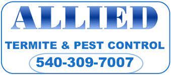 Termite damage can appear in many forms. Roanoke Exterminator Allied Termite And Pest Control Roanoke Va