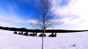 Finland) is in northern europe and has borders with russia to the east, norway to the north, and sweden to the west. Psyk Z Wq1hnsm