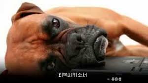 유은성 you eun sung, song: íšŒë³µì‹œí‚¤ì†Œì„œ ìœ ì€ì„± Youtube