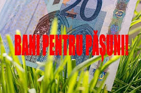 De cand sunt pe acest pamant, 2015. È™ef Apia Cuantum Pe Hectar Pentru SubvenÈ›ia Pe PÄƒÈ™une Agroinfo Ro