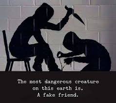 「fake friends」的圖片搜尋結果