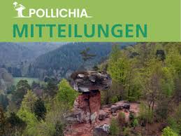 Image result for Pollichia