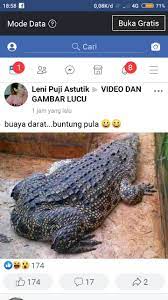 Buaya Tanpa Ekor Gambar Lucu Gambar Humor Hewan Lucu