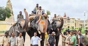 Weight-bearing training begins for Dasara elephant Abhimanyu in Mysuru