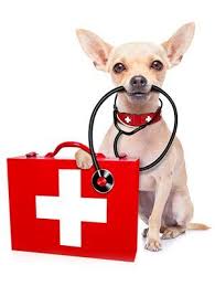 Top 10 pet care providers near me (starting at $11.75/hr. Emergency Vet In Noblesville In Noble West Animal Hospital