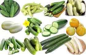 Image result for Cucumis