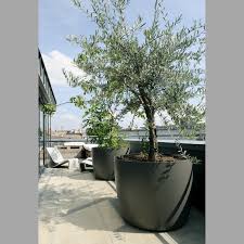 I finally got around to planting the large keter planter and i will periodically update on how it is doing. Pin By Manuel Martin Rodriguez On Home Sweet Home Outside Large Planters Pots Modern Garden Large Garden Planters