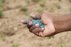 Aflatoxin is probably the most well known mycotoxin, besides trichothecene, and the most researched. Aflatoxine Twitter Search