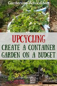 A standard vegetable garden box is 4 ft (1.2 m) by 8 ft (2.4 m), but work with the space you have. Create A Vegetable Container Garden On A Budget