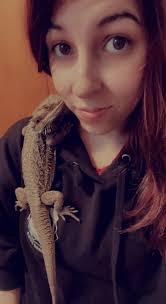 My bearded dragon is 3 years old. I just got him a few days ago. The store  said he was eating greens there fine (he was only in the store for 5