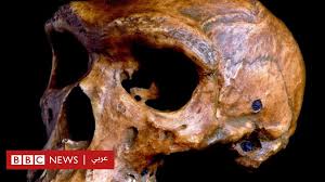 مفترسة في الغابة حيوانات مفترسة تاكل البشر في الاردن حيوانات مفترسة 2013 حيوانات مفترسة فيديو يوتيوب حيوانات مفترسة 3d الحيوانات المفترسه 3 اشرطة حيوانات مفترسة 3d اكثر 10 حيوانات مفترسة اقوى 10 حيوانات مفترسة اخطر 10 حيوانات مفترسة. Ø§Ù„Ø¶Ø¨Ø§Ø¹ Ø§Ù„ØªÙŠ Ø±Ø¨Ù…Ø§ ÙƒØ§Ù†Øª ØªÙ„ØªÙ‡Ù… Ø£Ø¬Ø¯Ø§Ø¯Ù†Ø§ Ø§Ù„Ø£ÙˆØ§Ø¦Ù„ Bbc News Ø¹Ø±Ø¨ÙŠ