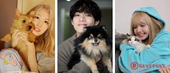 Here Are 15 Kpop Idols Who Love Their Pets More Kpoppost
