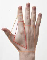 Schmerzen In Mittelhandknochen Oder Sehne Oder Muskel Was Kann Das Sein Hand