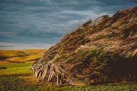 Slope point is the southernmost point of the south island of new zealand. Slope Point Accommodation Bewertungen Fotos Preisvergleich Neuseeland Tripadvisor