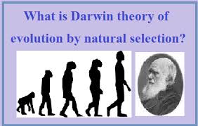Darwin's theory of evolution was flawed. Charles Darwin Theory Of Evolution And Natural Selection