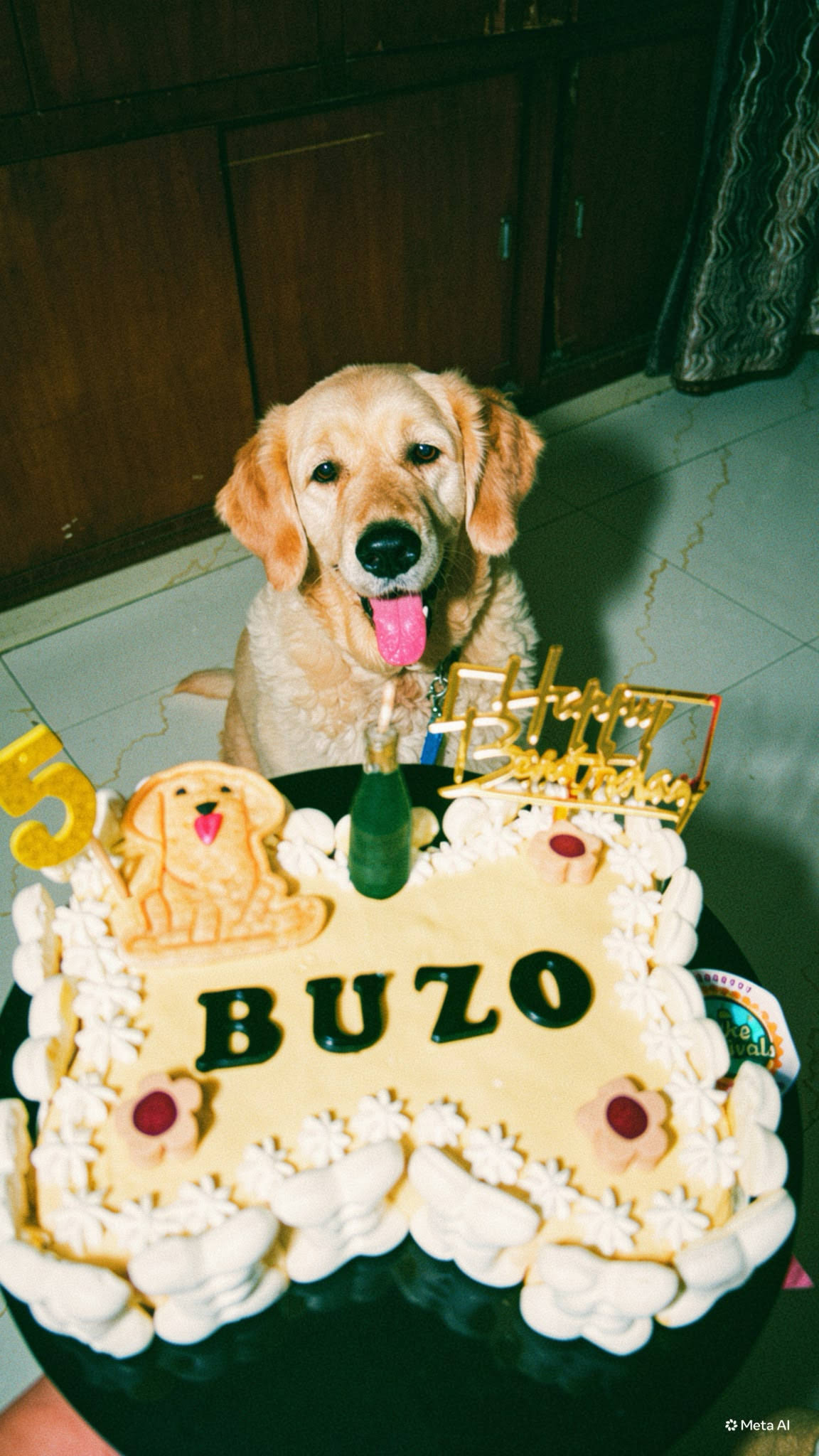 bone shaped cake product image