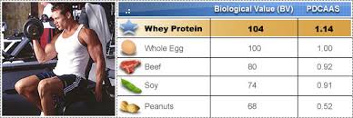 wele to whey protein what is whey