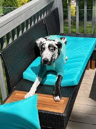 Lori Clouse (@LClouse13)