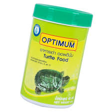 Box turtles are recognized as the most popular exotic pet in america. Optimum Turtle Food 40 G Food Pet Store Pakistan