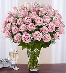 Bloomex offers same day flower delivery to steinbach, and surrounding area, six days a week. Two Dozen Premium Long Stem Pink Roses Flower Delivery Toronto On Flowers Of The World