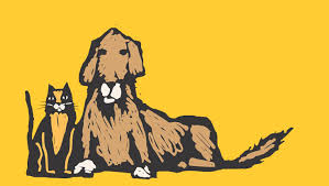 Learn more about pack leaders dog rescue of ct in manchester, ct, and search the available pets they have up for adoption on petfinder. Friends Of The New Haven Animal Shelter