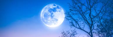 Your views are changing swiftly, which. Is The Full Moon Heightening Weird Symptoms Institute For Restorative Health