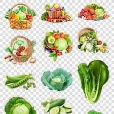 蔬菜图片果蔬菜篮子图片素材卷心菜vegetable picture fruit vegetable basket picture material cabbage hd images image