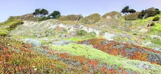 5 0 方斯頓 堡壘沒有太仔細玩 只是路過的時候大家都停下來看看一會而已的 非常大的一個地方的 周圍景色相當的不錯的 同行的舊金山友人說這裏周末是很多人開車過來度假的地方