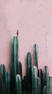 Arrange your pom flowers on top of your decal so you have them placed right where you want them to be. 12 Rad Happy Doodle Inspiration Ideas Cactus Cactus Art Kindergarten Workbooks